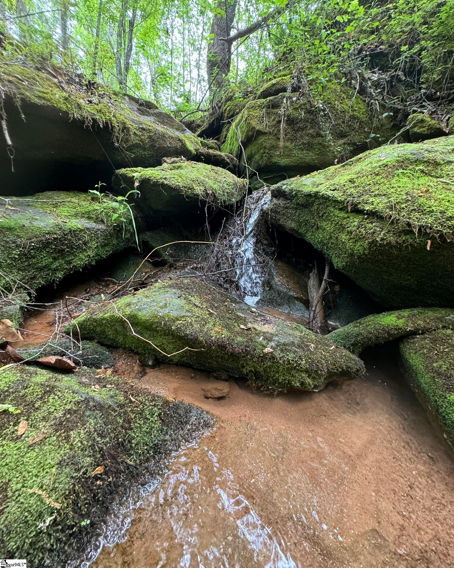 Tract 9 Griffin Mill Road, Pickens, SC 296710000