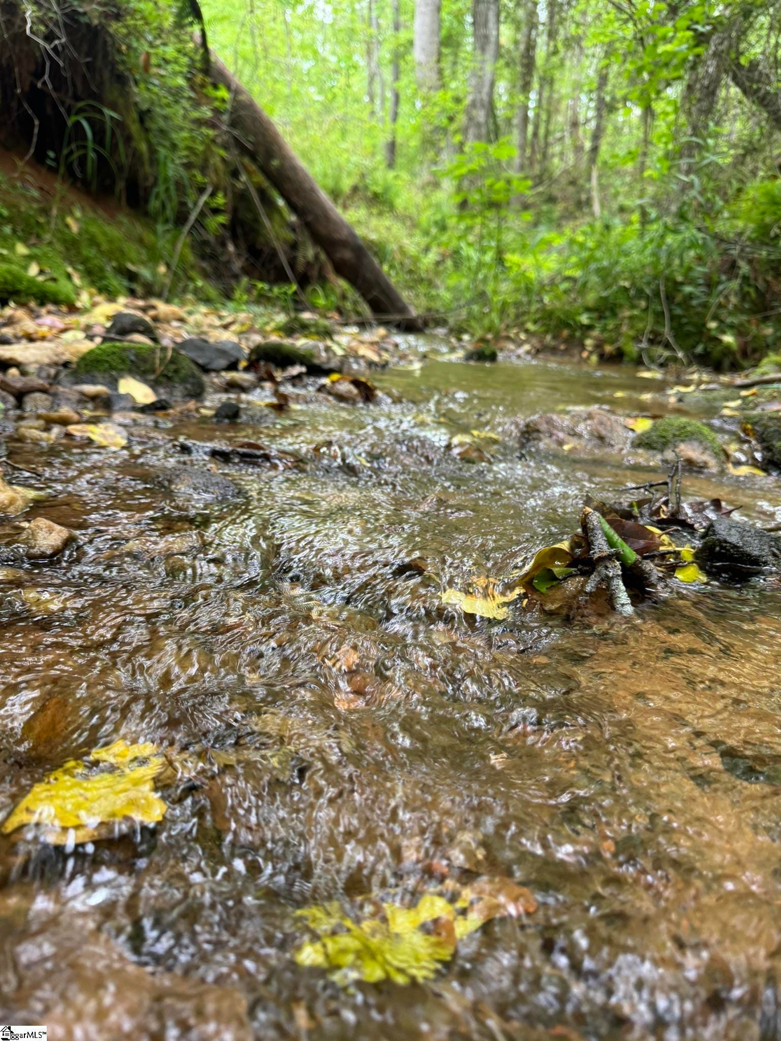 Tract 9 Griffin Mill Road, Pickens, SC 296710000