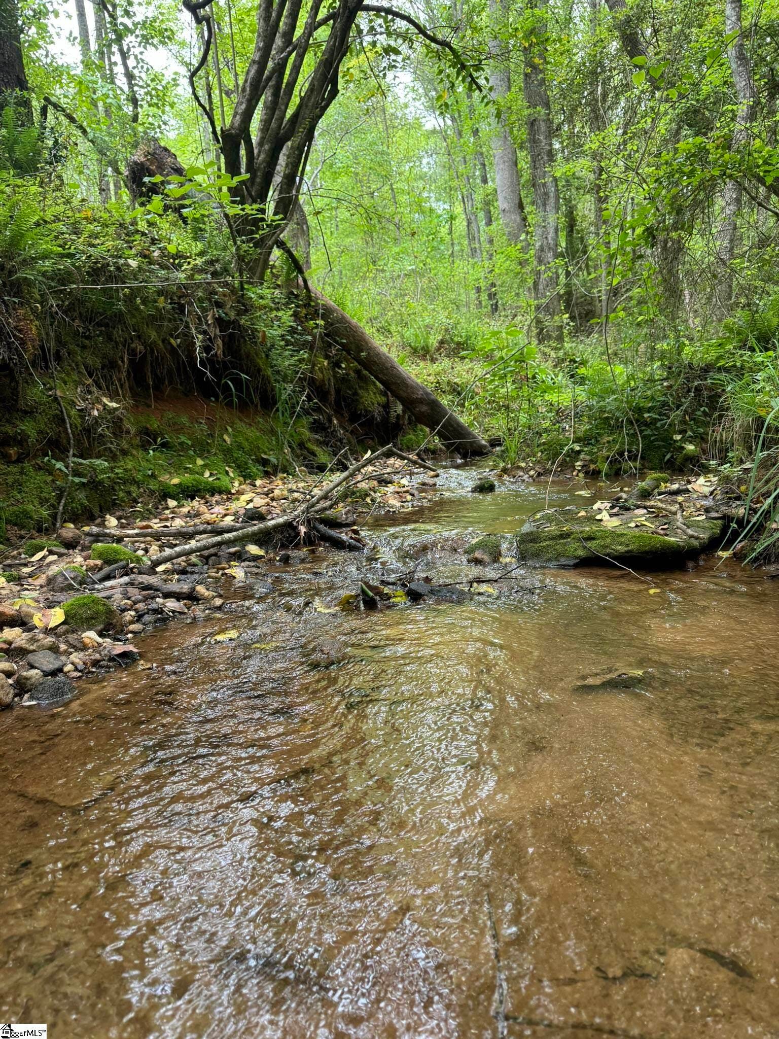 Tract 9 Griffin Mill Road, Pickens, SC 296710000