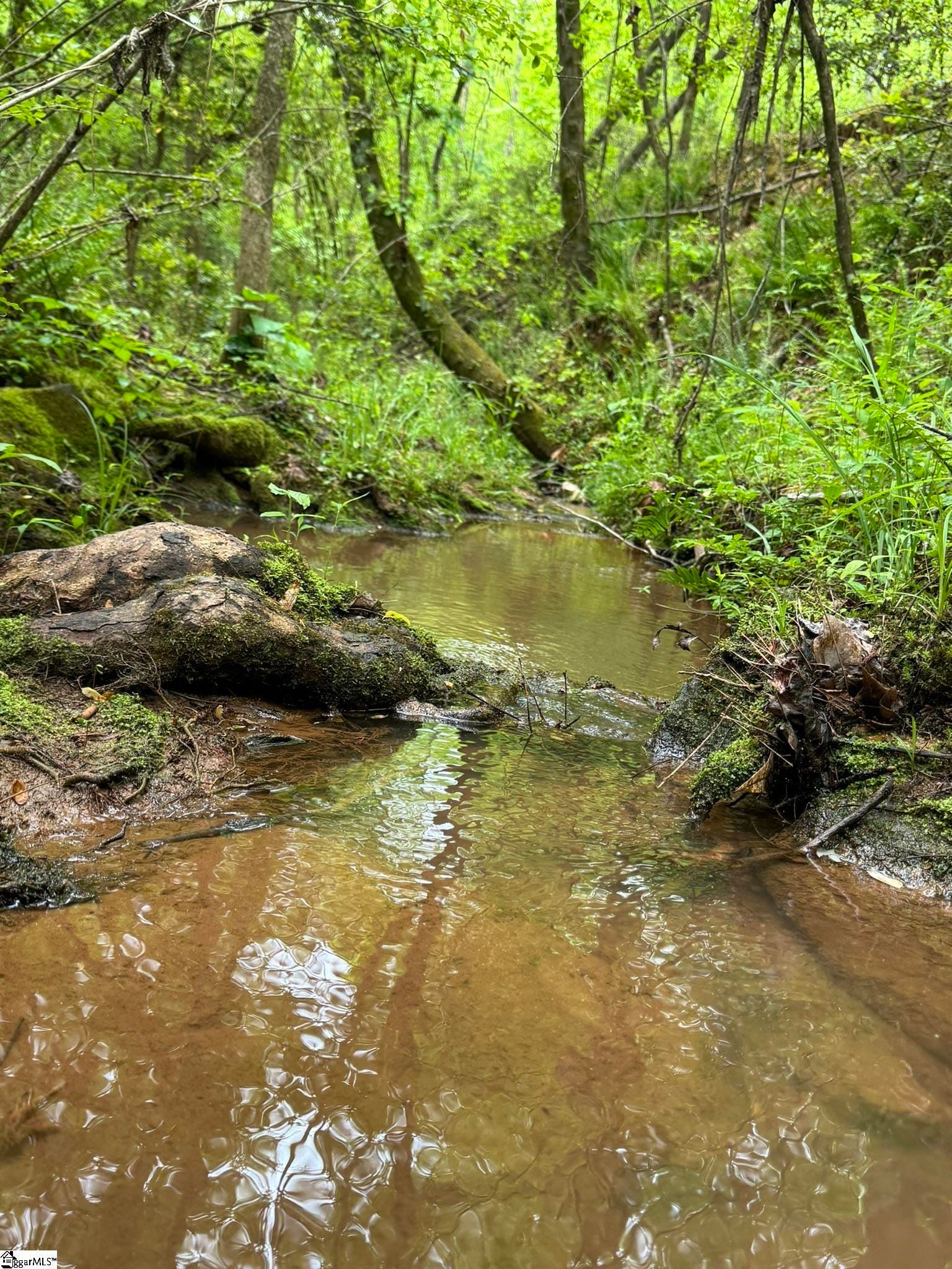 Tract 9 Griffin Mill Road, Pickens, SC 296710000