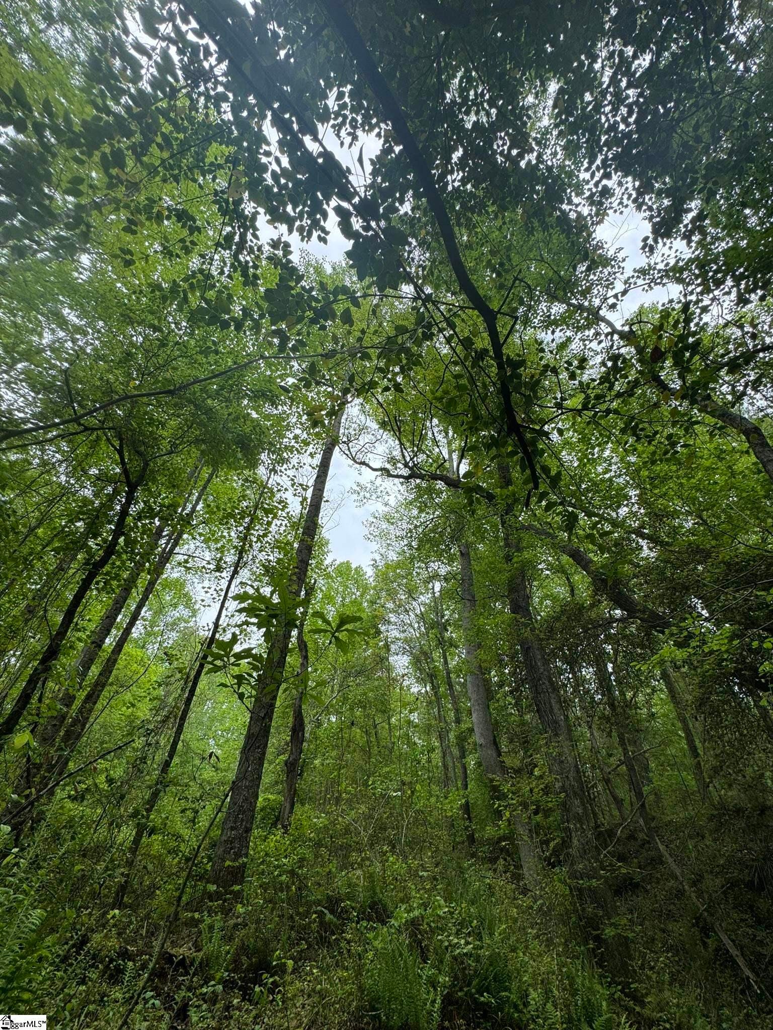 Tract 9 Griffin Mill Road, Pickens, SC 296710000